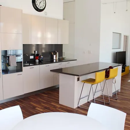 Beautiful Loft In The Center Of Apartment Lausanne